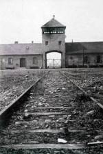 Watch AUSCHWITZ: FRENZIED KILLING 123movies