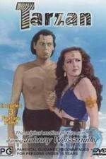 Watch Tarzan's Desert Mystery 123movies