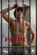 Watch The Prince 123movies