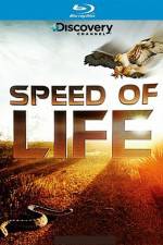 Watch Speed of Life 123movies