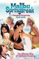 Watch Malibu Spring Break 123movies