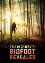 Watch A Flash of Beauty: Bigfoot Revealed 123movies