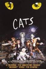 Watch Cats 123movies
