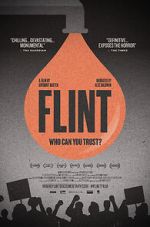 Watch Flint 123movies
