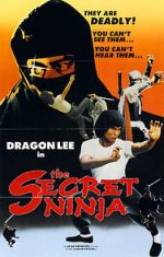 Watch Secret Ninja 123movies