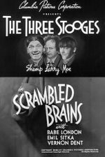 Watch Scrambled Brains 123movies