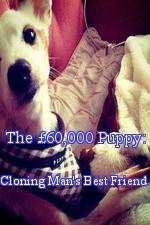 Watch The £60,000 Puppy: Cloning Man's Best Friend 123movies