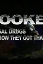 Watch Hooked Illegal Drugs & How They Got That Way - Opium Morphine and Heroin 123movies