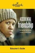 Watch Accidental Friendship 123movies