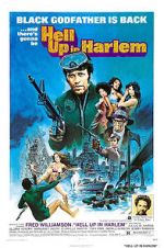 Watch Hell Up in Harlem 123movies