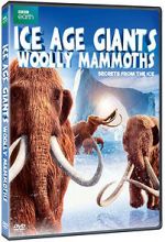Watch Woolly Mammoth: Secrets from the Ice 123movies