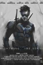 Watch Nightwing: The Series 123movies