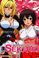 Watch Sekirei 123movies