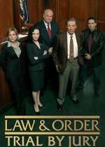 Watch Law & Order: Trial by Jury 123movies