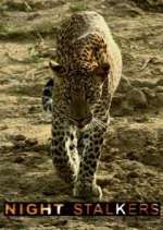 Watch Night Stalkers 123movies