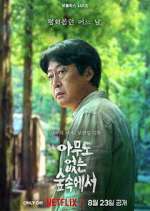 Watch The Frog 123movies