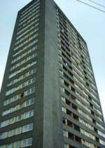 Watch High Times 123movies