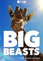 Watch Big Beasts 123movies