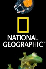 Watch Nat Geo Amazing! 123movies