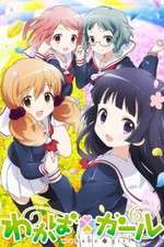 Watch Wakaba Girl 123movies