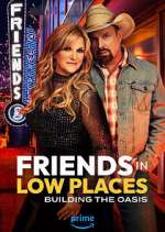 Watch Friends in Low Places 123movies