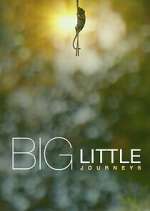 Watch Big Little Journeys 123movies