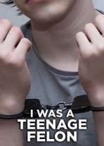 Watch I Was a Teenage Felon 123movies