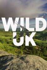 Watch Wild UK 123movies