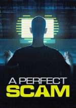 Watch A Perfect Scam 123movies