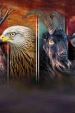 Watch Wales: Land of the Wild 123movies