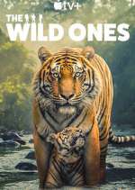 Watch The Wild Ones 123movies