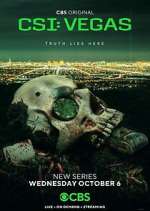 Watch CSI: Vegas 123movies