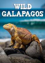 Watch Wild Galapagos 123movies