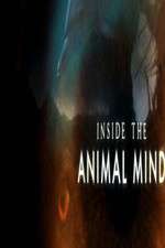 Watch Inside the Animal Mind 123movies