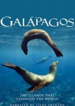 Watch Galapagos 123movies