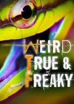 Watch Weird, True & Freaky 123movies