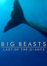 Watch Big Beasts: Last of the Giants 123movies