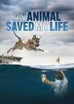 Watch An Animal Saved My Life 123movies