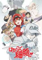 Watch Cells at Work! 123movies