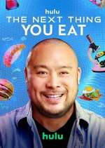 Watch The Next Thing You Eat 123movies