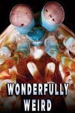 Watch Wonderfully Weird 123movies