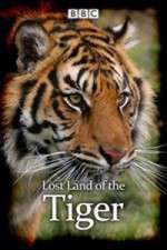 Watch Lost Land of the Tiger 123movies