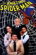 Watch The Amazing Spider-Man 123movies