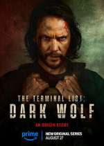 Watch The Terminal List: Dark Wolf 123movies