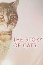 Watch The Story of Cats 123movies
