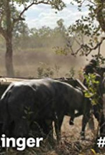 Watch Outback Ringer 123movies