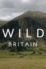 Watch Wild Britain 123movies