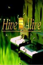 Watch Hive Alive 123movies