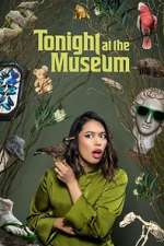 tonight at the museum season 1 episode 1 tv poster
