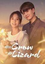 Watch Miss Crow with Mr. Lizard 123movies